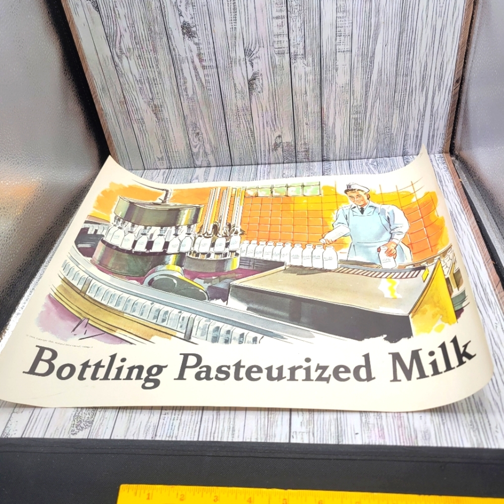 National Dairy council posters- lot of 9